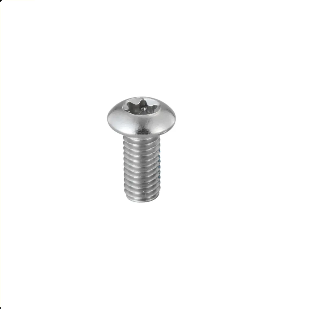 Elvedes Torx RVS Remschijf boutje per stuk