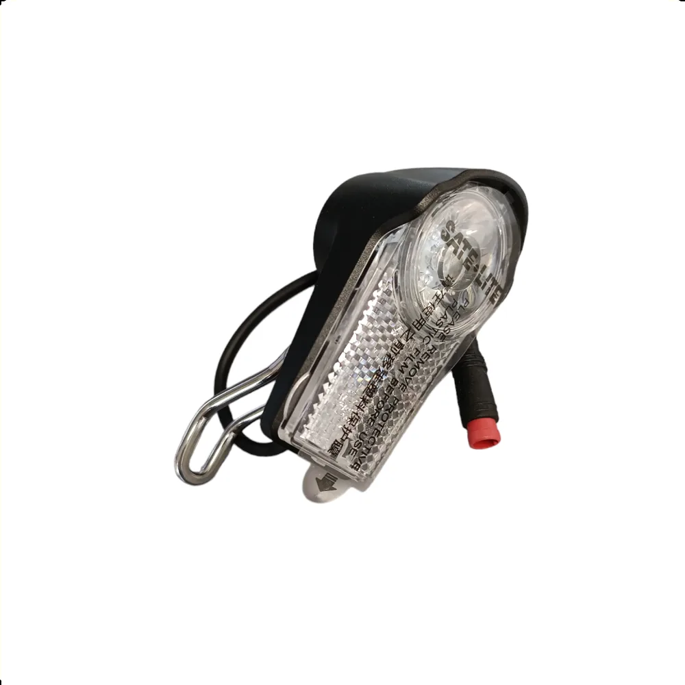 Voorlicht Delivery E-bike 6V 21/22